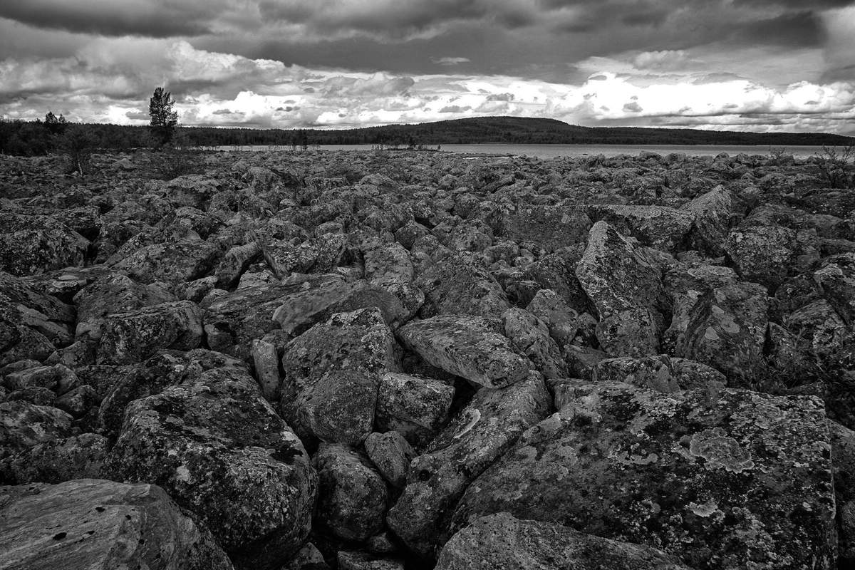 Landschaft