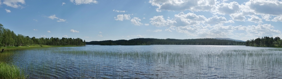 Landschaft