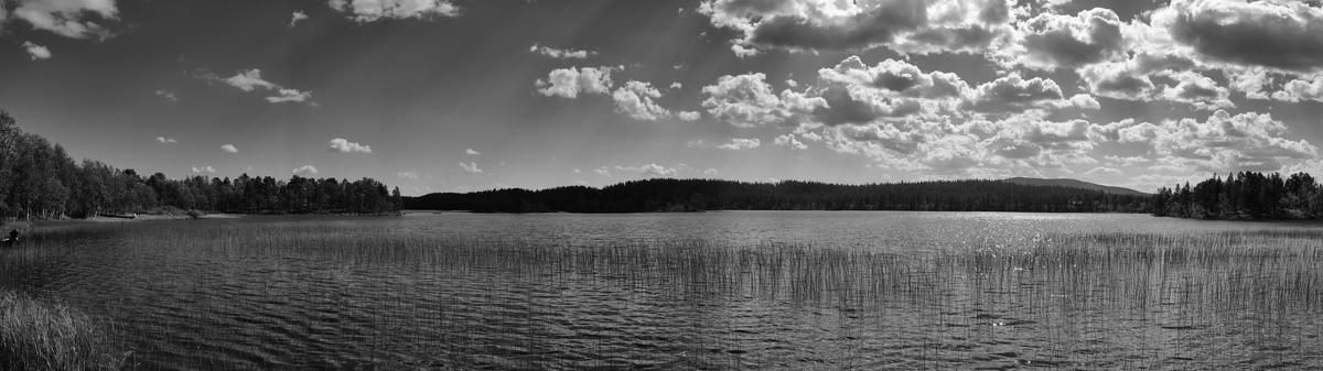 Landschaft