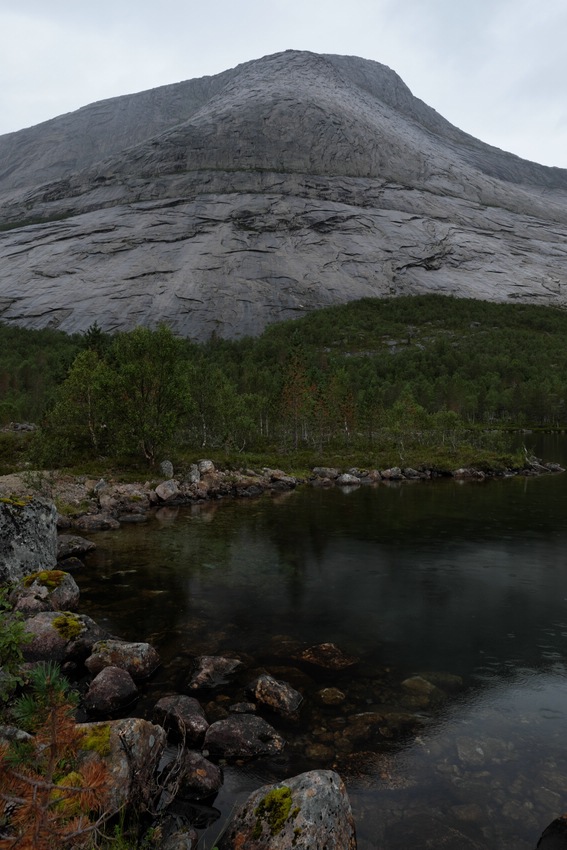 Landschaft