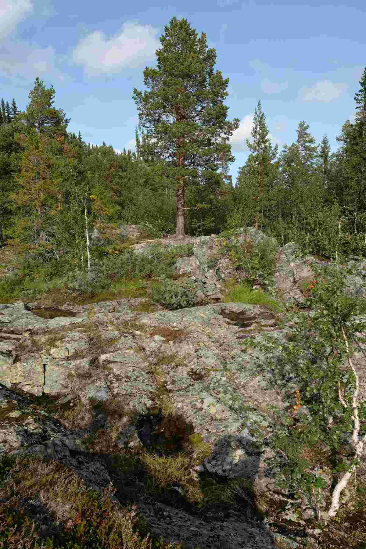 Stromschnellen