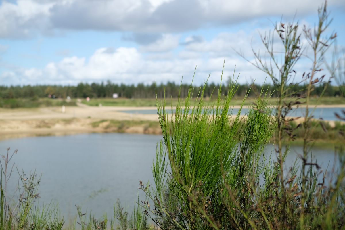 Ankunft Dänemark