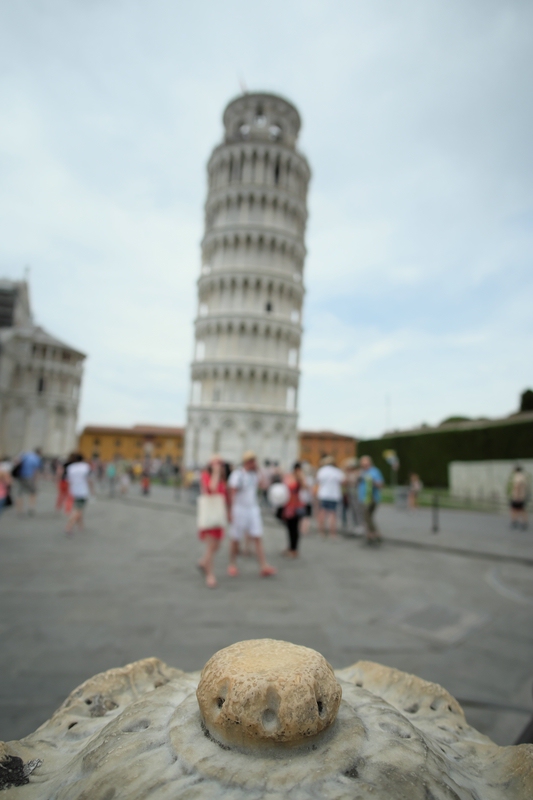Pisa