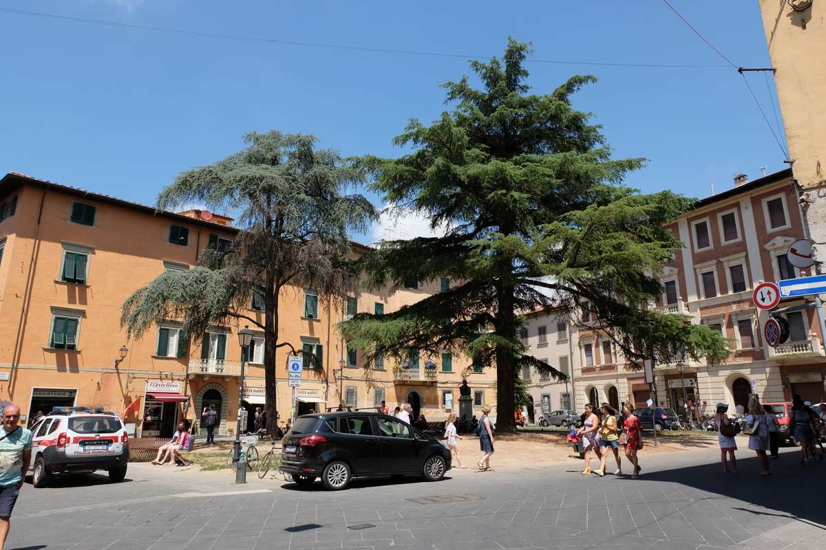Pisa